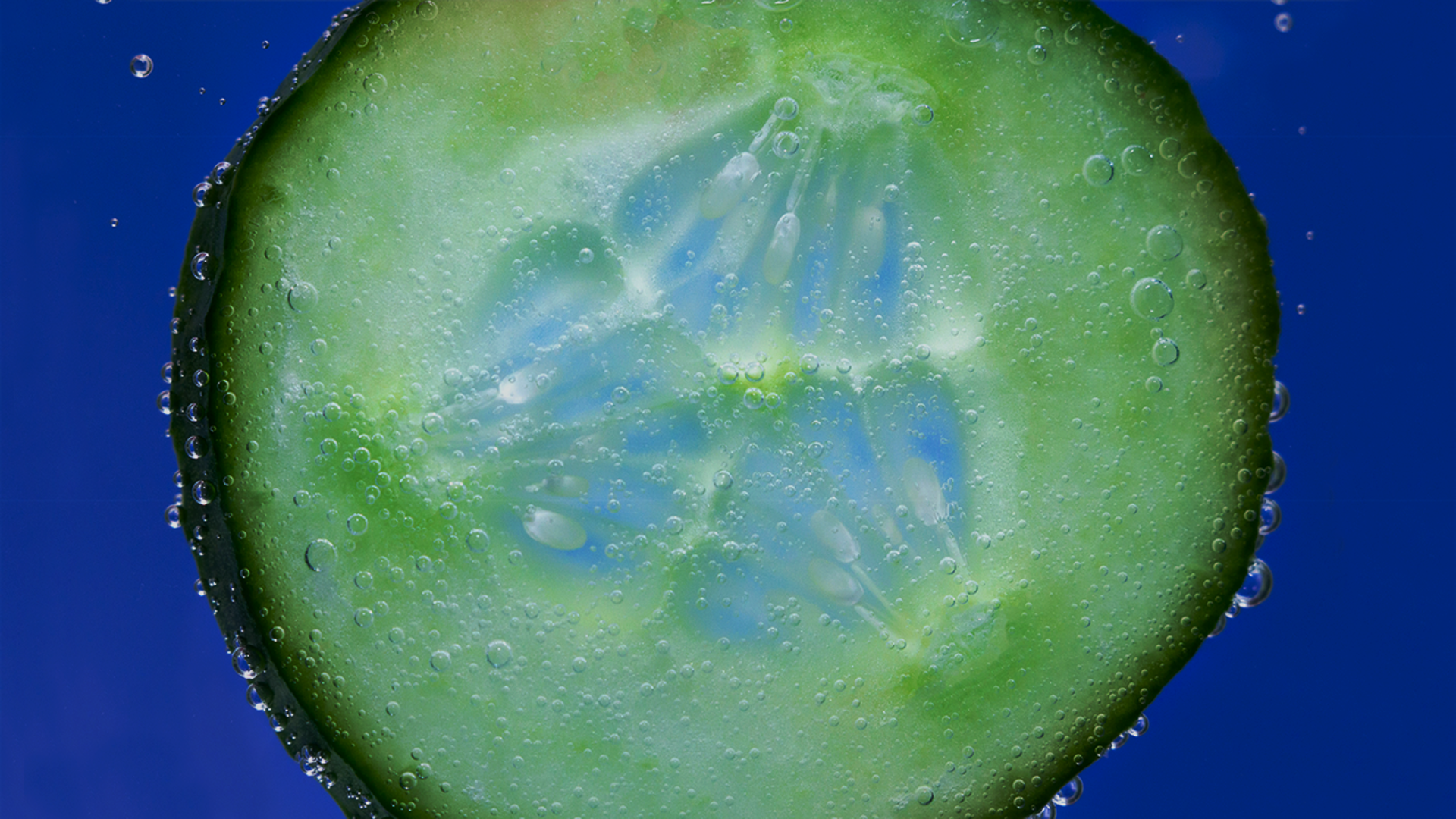 what-connects-cool-cucumber-hero01-1280x720
