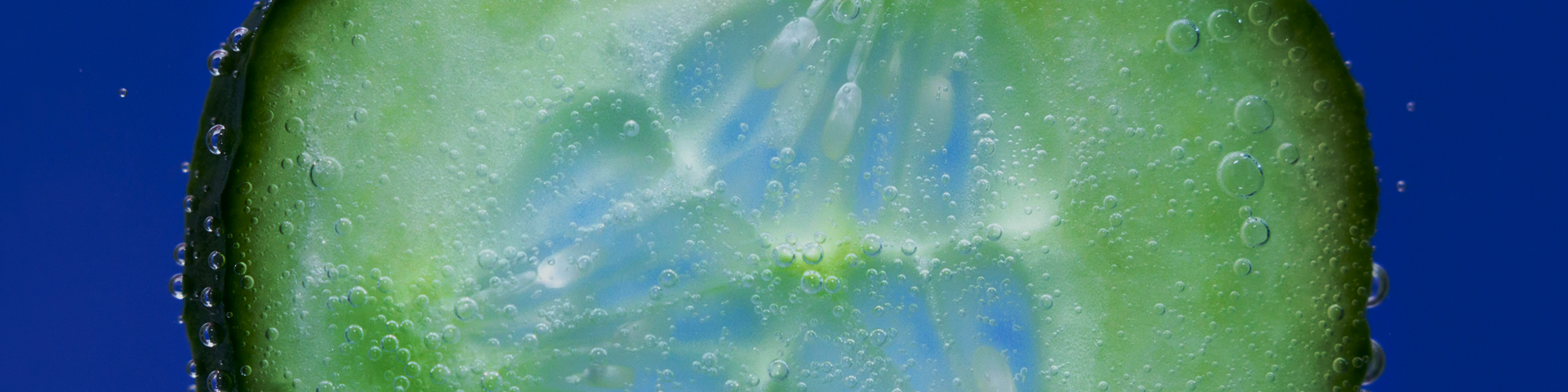 what-connects-cool-cucumber-hero01-1920x480