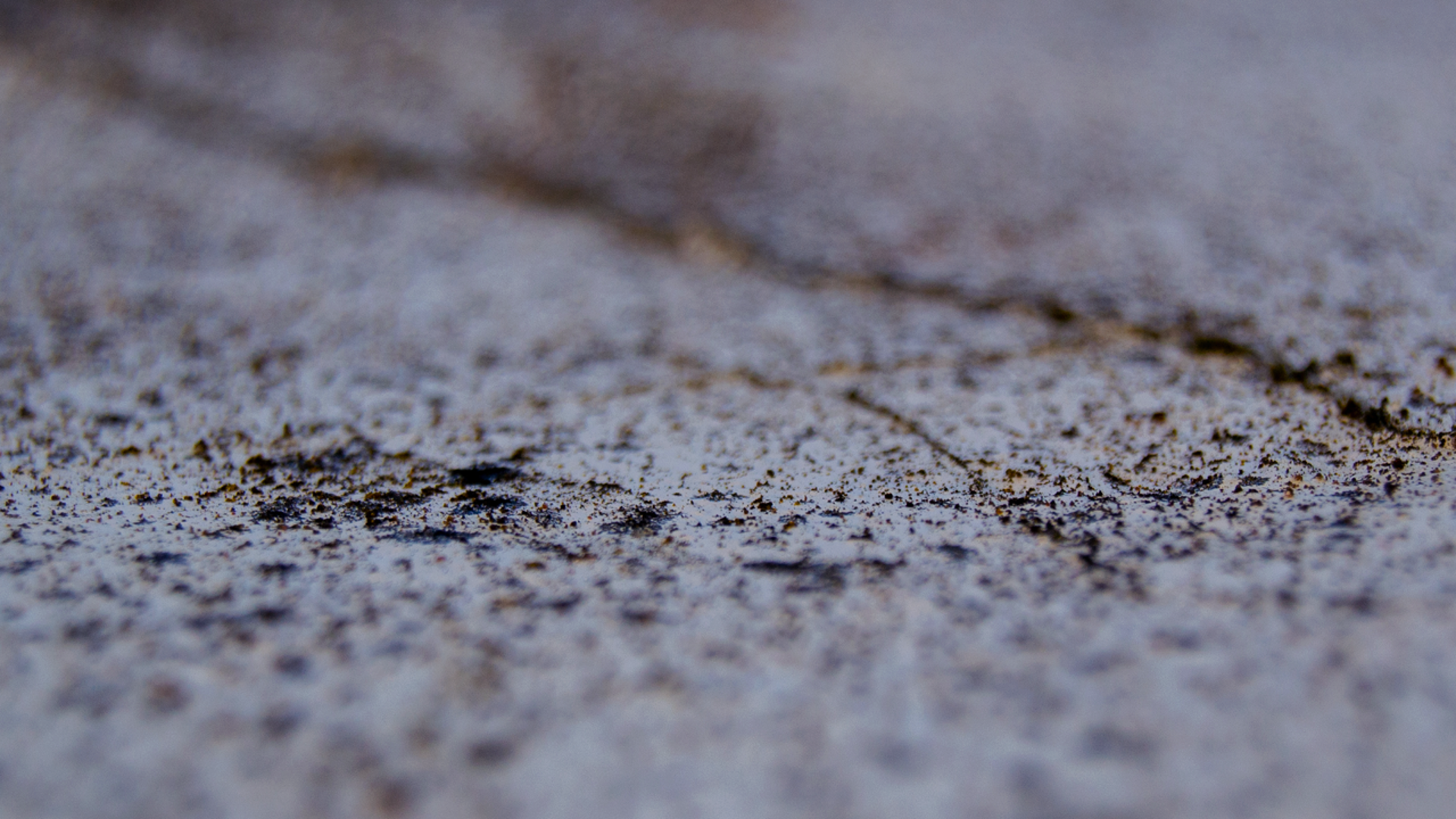 what-connects-tiny-crack-heroFINAL-1280x720