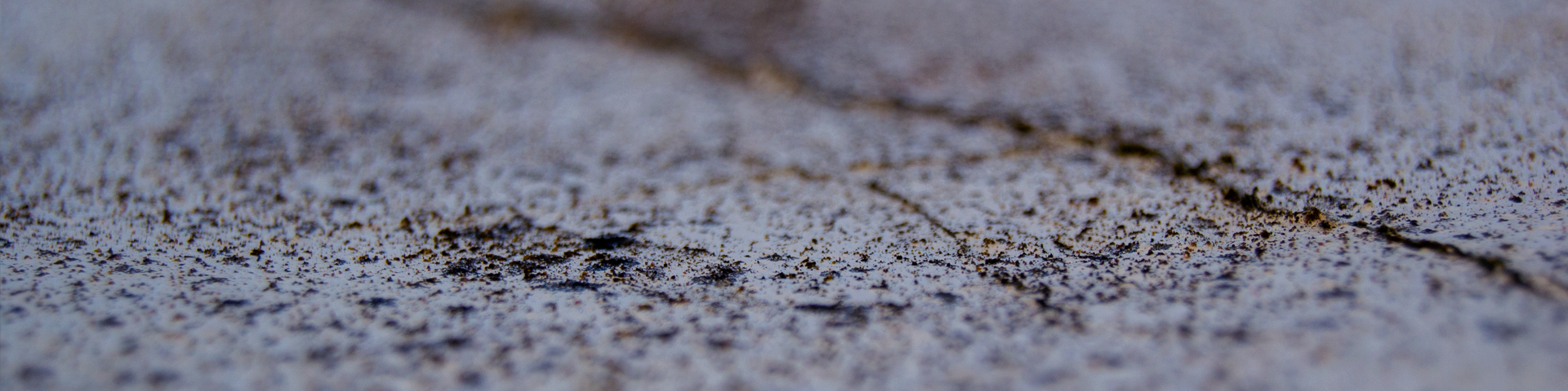 what-connects-tiny-crack-heroFINAL-1920x480