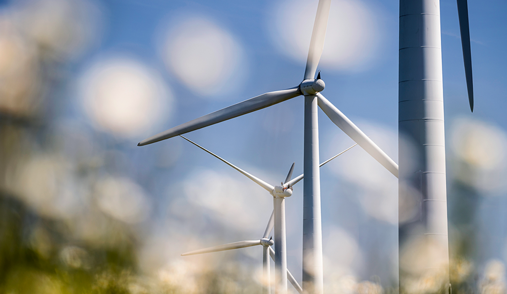 Wind turbines rotate gracefully in a verdant field, representing the transition to clean and renewable energy sources.