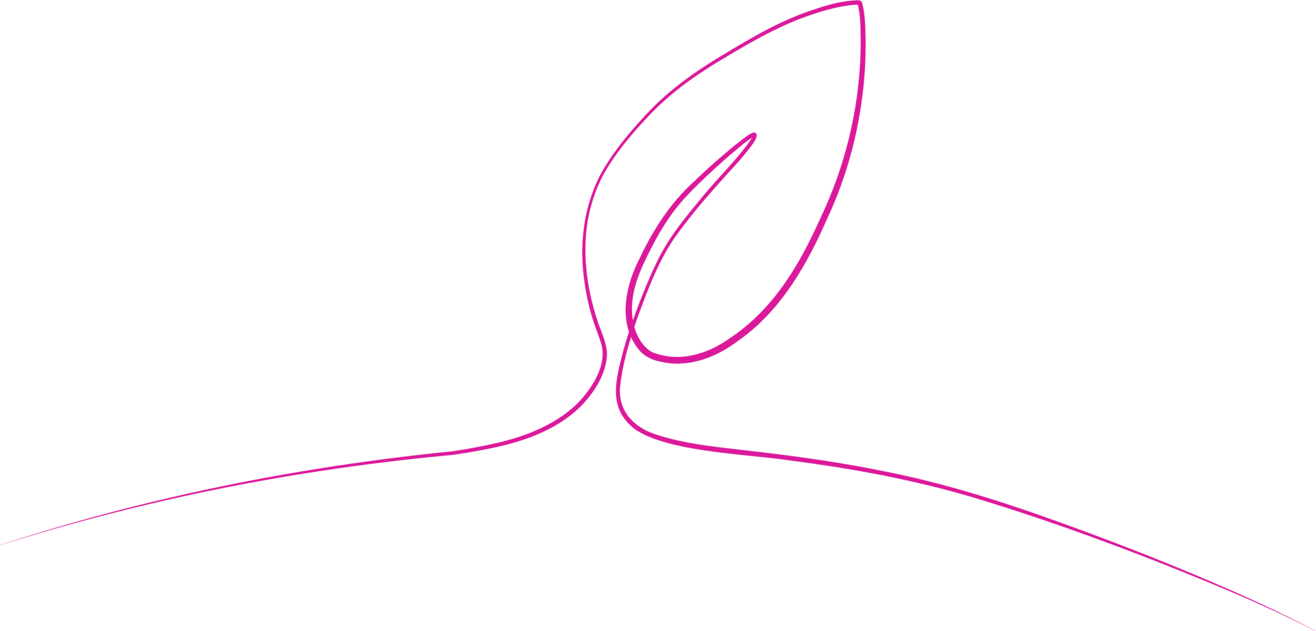 Illustration depicting a leaf