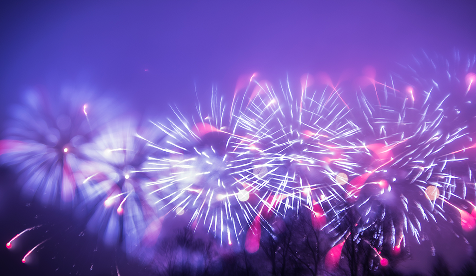 Fireworks explode in brilliant colors against the night sky, with trees providing a natural backdrop.