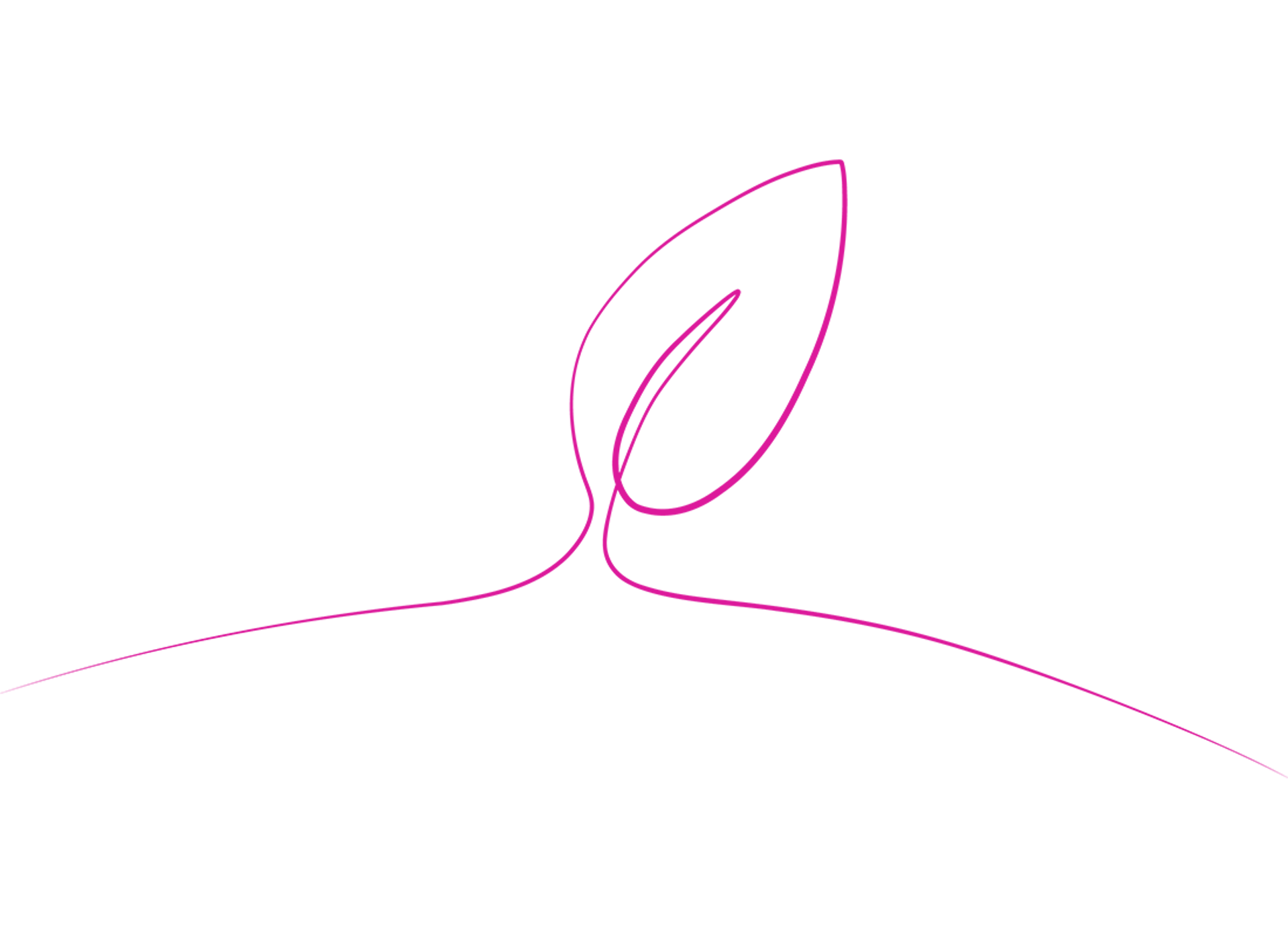 Illustration depicting a leaf